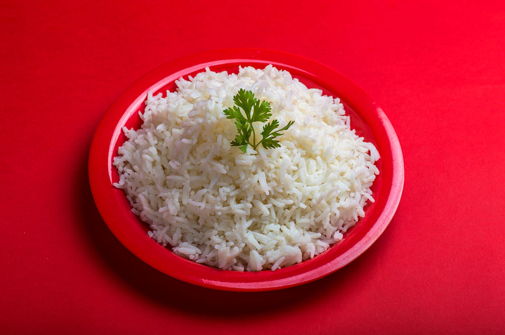arroz na dieta dos cachorros