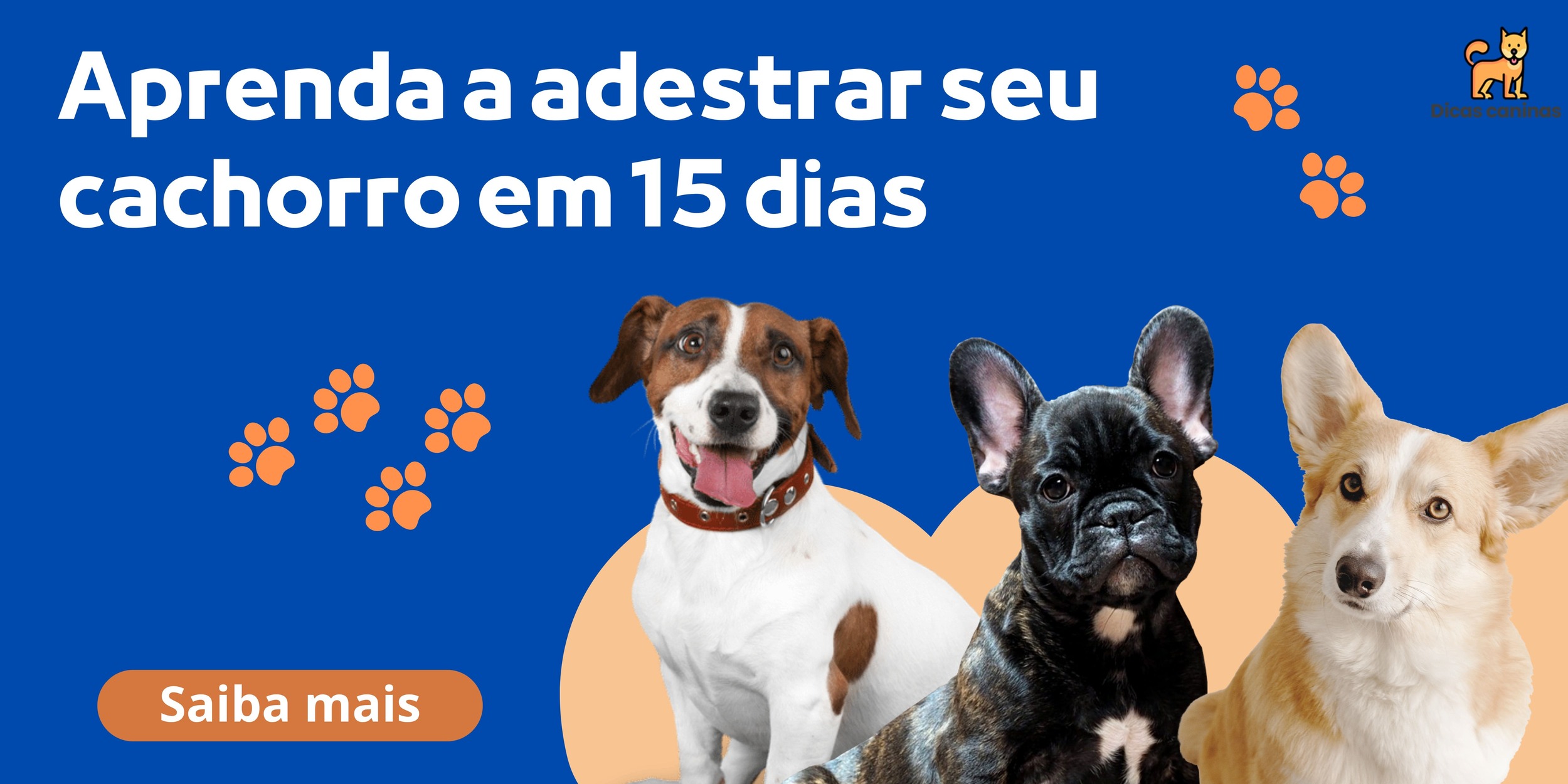 adestrar cachorro em casa