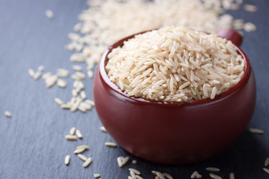 cachorro pode comer arroz integral?